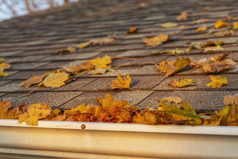 Fall Roofing Services